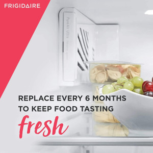 Frigidaire PAULTRA Genuine OEM Air Filter 